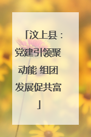 汶上县：党建引领聚动能 组团发展促共富