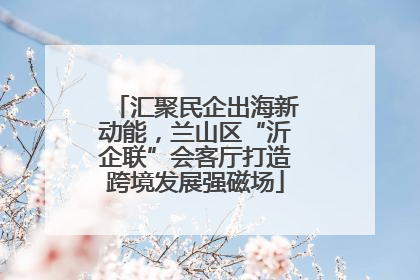 汇聚民企出海新动能，兰山区“沂企联”会客厅打造跨境发展强磁场