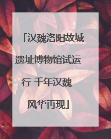 汉魏洛阳故城遗址博物馆试运行 千年汉魏 风华再现