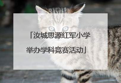 汝城思源红军小学举办学科竞赛活动