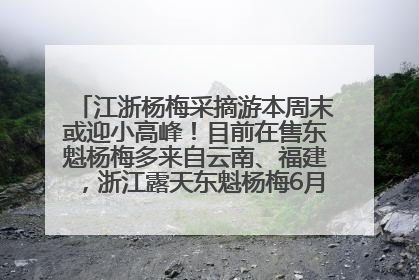 江浙杨梅采摘游本周末或迎小高峰！目前在售东魁杨梅多来自云南、福建，浙江露天东魁杨梅6月中旬大量上市