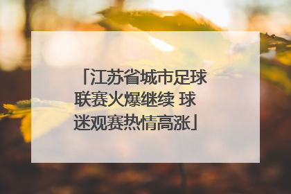 江苏省城市足球联赛火爆继续 球迷观赛热情高涨