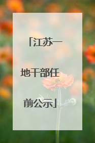江苏一地干部任前公示
