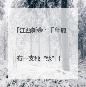 江西新余：千年夏布一支独“绣”