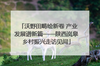 沃野田畴绘新卷 产业发展谱新篇——陕西岚皋乡村振兴走访见闻