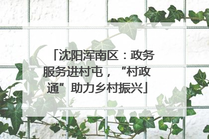 沈阳浑南区：政务服务进村屯，“村政通”助力乡村振兴
