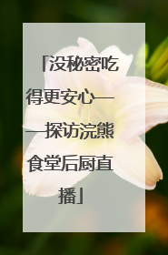 没秘密吃得更安心——探访浣熊食堂后厨直播