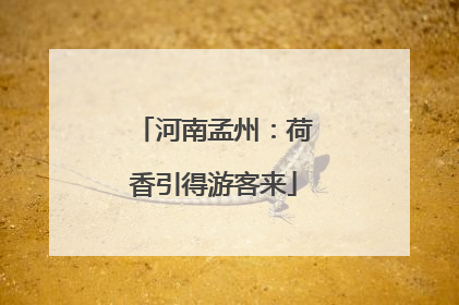 河南孟州：荷香引得游客来