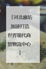 河北廊坊 加速打造世界现代商贸物流中心