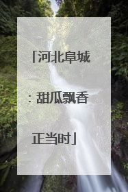 河北阜城：甜瓜飘香正当时