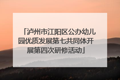 泸州市江阳区公办幼儿园优质发展第七共同体开展第四次研修活动