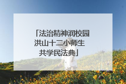 法治精神润校园 洪山十二小师生共学民法典