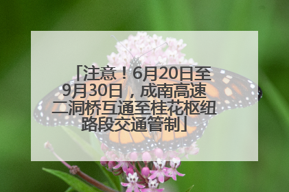 注意！6月20日至9月30日，成南高速二洞桥互通至桂花枢纽路段交通管制
