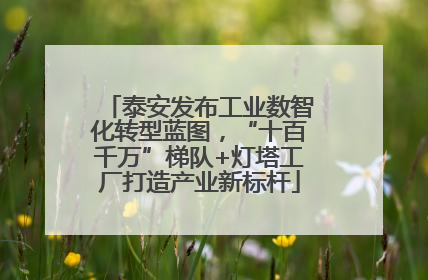 泰安发布工业数智化转型蓝图，“十百千万”梯队+灯塔工厂打造产业新标杆