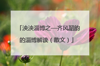 泱泱淄博之—齐风韶韵的淄博解读（散文）