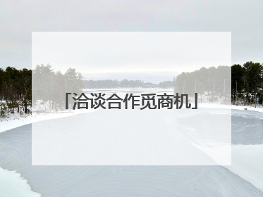 洽谈合作觅商机