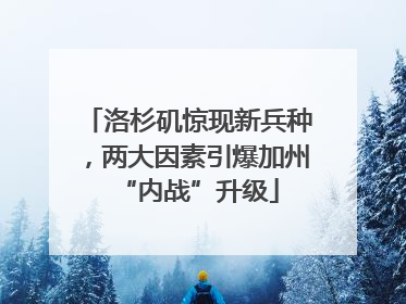 洛杉矶惊现新兵种，两大因素引爆加州“内战”升级