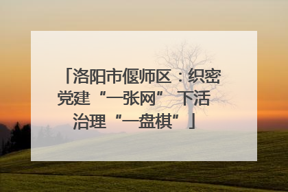 洛阳市偃师区：织密党建“一张网” 下活治理“一盘棋”