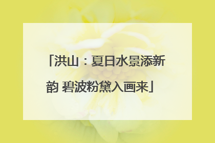 洪山：夏日水景添新韵 碧波粉黛入画来