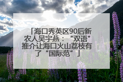 海口秀英区90后新农人吴宇燕：“双语”推介让海口火山荔枝有了“国际范”