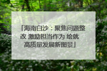 海南白沙：聚焦问题整改 激励担当作为 绘就高质量发展新图景