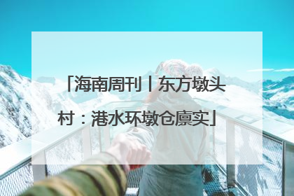 海南周刊丨东方墩头村：港水环墩仓廪实