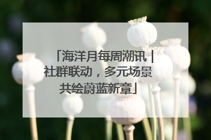 海洋月每周潮讯｜社群联动，多元场景共绘蔚蓝新章