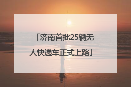 济南首批25辆无人快递车正式上路