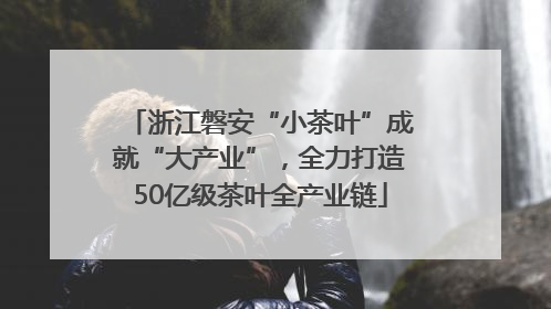 浙江磐安“小茶叶”成就“大产业”，全力打造50亿级茶叶全产业链