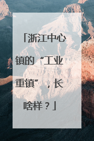 浙江中心镇的“工业重镇”，长啥样？