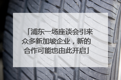 浦东一场座谈会引来众多新加坡企业，新的合作可能也由此开启