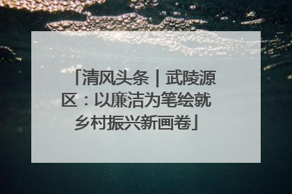 清风头条｜武陵源区：以廉洁为笔绘就乡村振兴新画卷