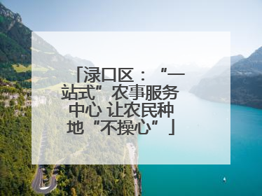渌口区：“一站式”农事服务中心 让农民种地“不操心”