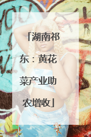 湖南祁东：黄花菜产业助农增收