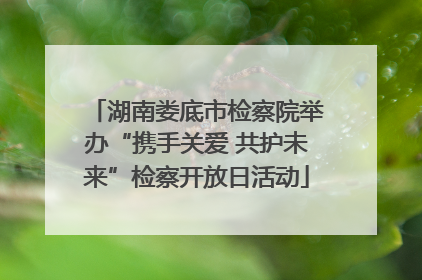 湖南娄底市检察院举办“携手关爱 共护未来”检察开放日活动