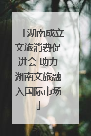 湖南成立文旅消费促进会 助力湖南文旅融入国际市场