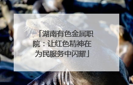 湖南有色金属职院：让红色精神在为民服务中闪耀