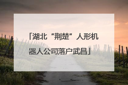 湖北“荆楚”人形机器人公司落户武昌