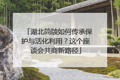 湖北简牍如何传承保护与活化利用？这个座谈会共商新路径