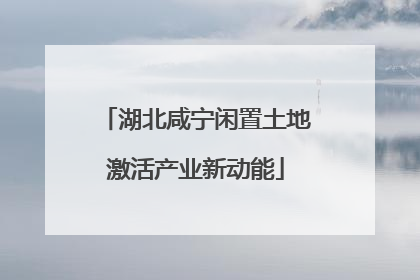湖北咸宁闲置土地激活产业新动能