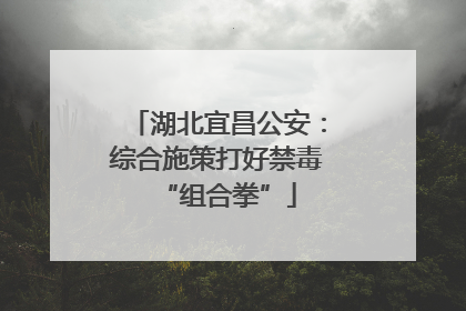 湖北宜昌公安：综合施策打好禁毒“组合拳”