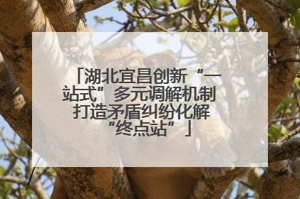 湖北宜昌创新“一站式”多元调解机制 打造矛盾纠纷化解“终点站”