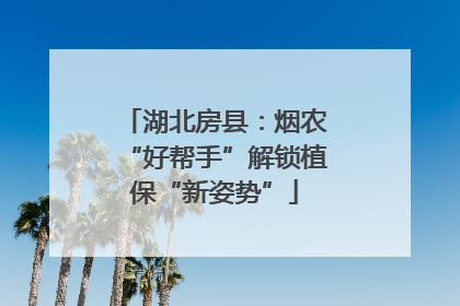 湖北房县：烟农“好帮手”解锁植保“新姿势”