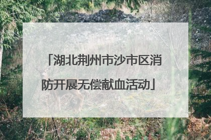 湖北荆州市沙市区消防开展无偿献血活动