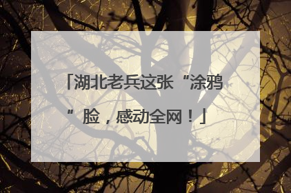 湖北老兵这张“涂鸦”脸，感动全网！