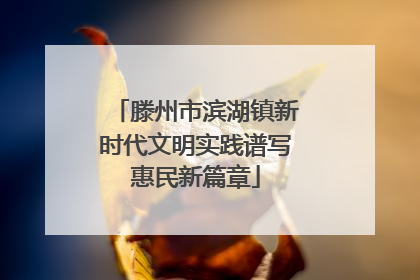 滕州市滨湖镇新时代文明实践谱写惠民新篇章