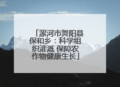 漯河市舞阳县保和乡：科学组织灌溉 保障农作物健康生长