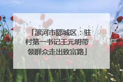 漯河市郾城区：驻村第一书记王元明带领群众走出致富路