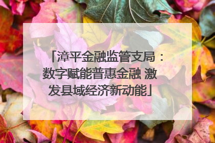 漳平金融监管支局：数字赋能普惠金融 激发县域经济新动能
