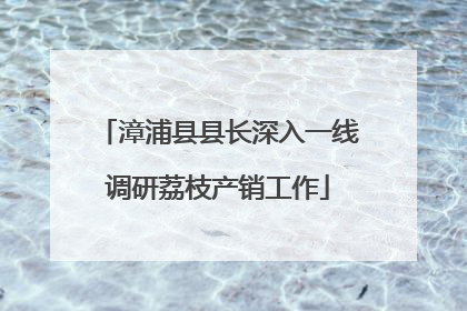 漳浦县县长深入一线调研荔枝产销工作